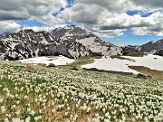 72 Mi abbasso alla Baita di Monte Campo (1878 m)